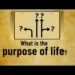 What is the purpose of life? | Jay Lakhani | Hindu Academy