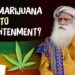If Shiva Smokes Weed, Why Can't I? – Sadhguru Answers #MahaShivRatri2020