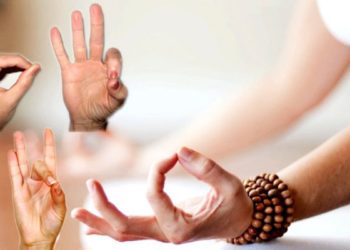 हस्त मुद्रा योग के लाभ -11 Hast Mudra-Hast Mudra In Hindi Pdf