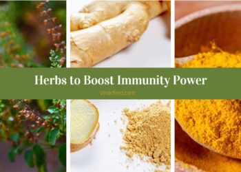 5 Ayurvedic Herbs to Boost Immunity Power