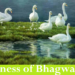 Greatness of Chapter Six of Bhagwat Gita