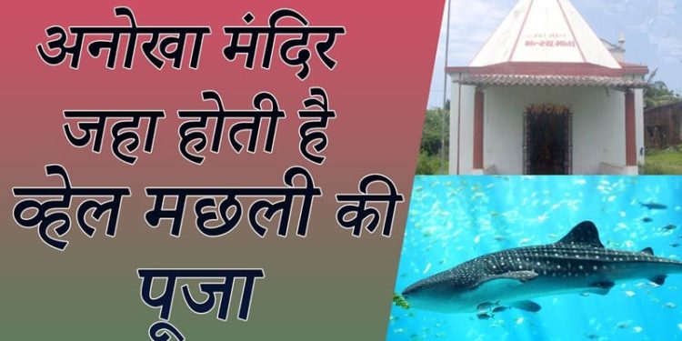 मत्स्य माता मंदिर | Matsya Mata Temple