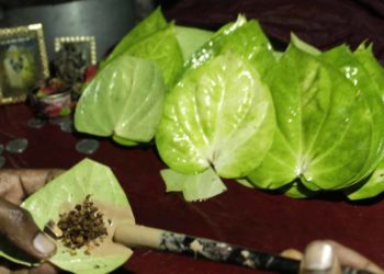 Know The Benefits Of Paan Leaf – बेहद चमत्कारिक होता है पान का पत्ता, बनना है धनवान तो काम आएगा पान