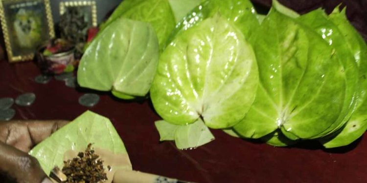 Know The Benefits Of Paan Leaf – बेहद चमत्कारिक होता है पान का पत्ता, बनना है धनवान तो काम आएगा पान