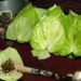 Know The Benefits Of Paan Leaf – बेहद चमत्कारिक होता है पान का पत्ता, बनना है धनवान तो काम आएगा पान