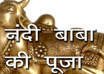 नंदी बाबा की पूजा | हिन्दू संस्कृति में बैल का महत्त्व | Significance Of Nandi- the Vehicle Of Shiva