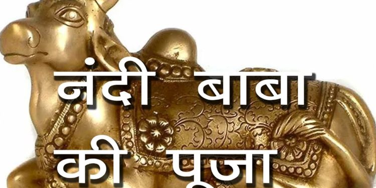 नंदी बाबा की पूजा | हिन्दू संस्कृति में बैल का महत्त्व | Significance Of Nandi- the Vehicle Of Shiva