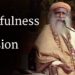 Playfulness and Passion | Sadhguru