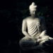 Dharm News In Hindi : gautam buddha story, prerak prasang, Motivational story about Success, inspirational story of gautam buddha | धैर्य के साथ आगे बढ़ते रहना चाहिए, क्योंकि कभी-कभी सफलता देर से मिलती है